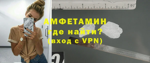 мет Алексин