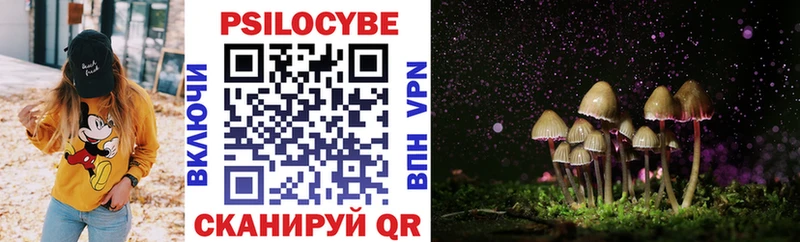 Псилоцибиновые грибы Psilocybine cubensis  omg как войти  Александровск 